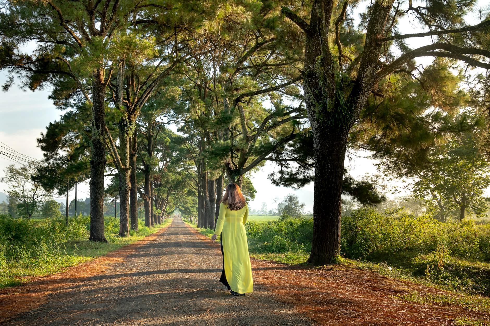 woman walking between trees